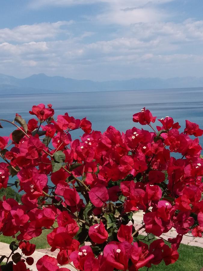 Panorama Beach Chrani Buitenkant foto